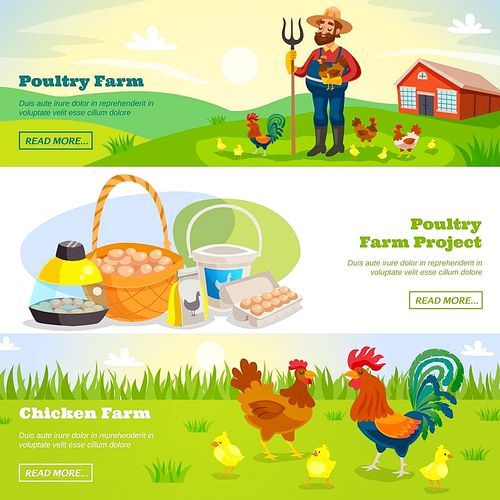 Poultry farm banners with cartoon scenery farmer and chicken characters and fresh products with read more button vector illustration
