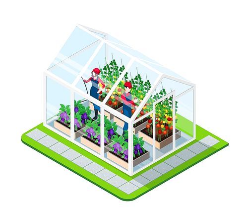 Greenhouse isometric concept with flowers and working people inside building isolated vector illustration