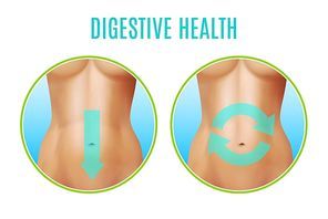 Digestive health realistic design including round icons with female belly and pointers on white background vector illustration