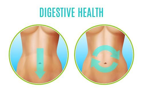 Digestive health realistic design including round icons with female belly and pointers on white background vector illustration