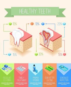 Dentist infographics with isometric sectional view of gums and teeth with images of dental care supplies vector illustration