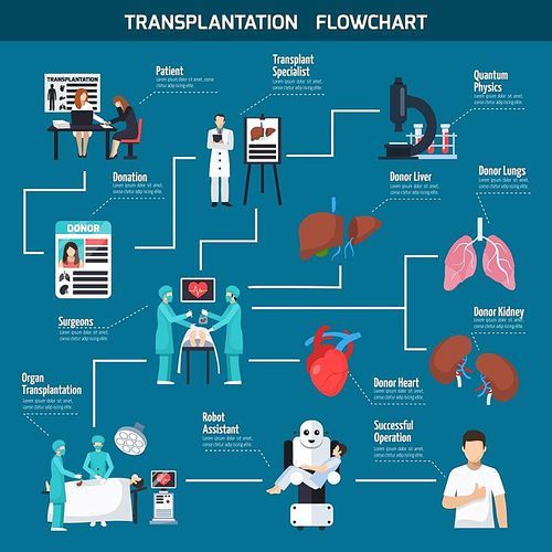 Transplantation flowchart layout with patient surgeons donor heart lungs liver robot assistant icons flat vector illustration