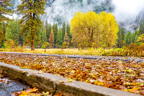 Yosemite National Park Valley at cloudy autumn morning. Low clouds lay in the valley. California, USA.