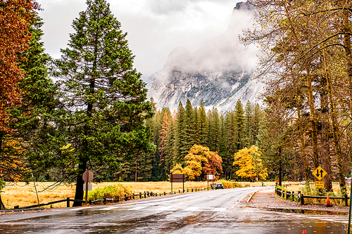 Wet road in Yosemite National Park Valley at cloudy autumn morning. Low clouds lay in the valley. California, USA.