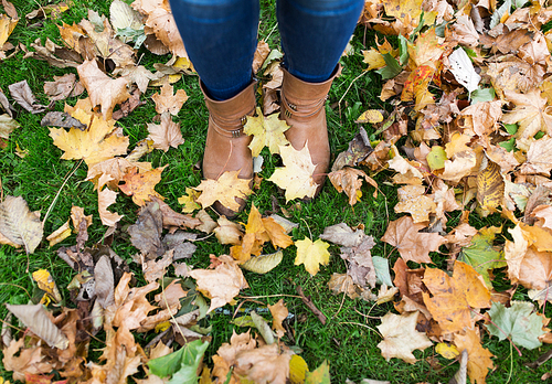 season and people concept - female feet in boots with autumn leaves on ground