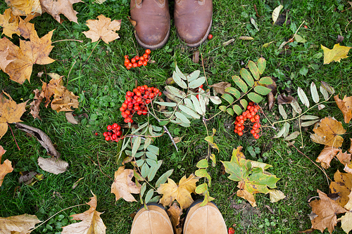 season and people concept - couple of feet in boots with rowanberries and autumn leaves on grass