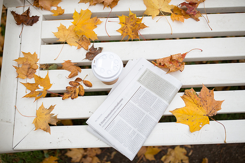 season and news concept - newspaper and coffee cup on bench in autumn park