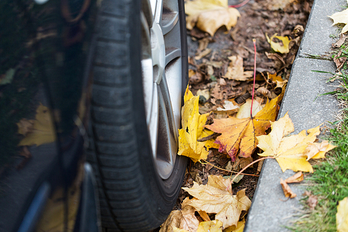 season and transport concept - close up of car wheel and autumn leaves
