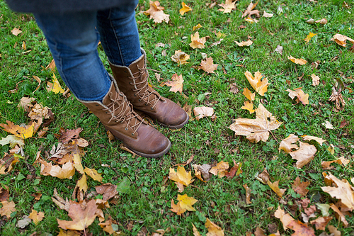 season, footwear and people concept - female feet in boots with autumn leaves on grass