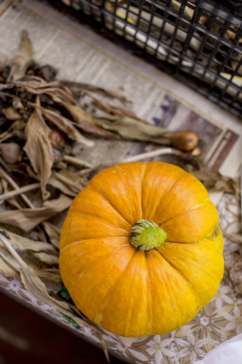 Bunch of garlic on a Big Pumpkin in an autumn country fair