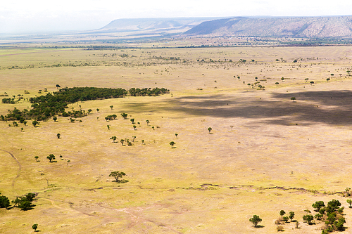 nature, landscape, environment and wildlife concept - view to maasai mara national reserve savannah at africa