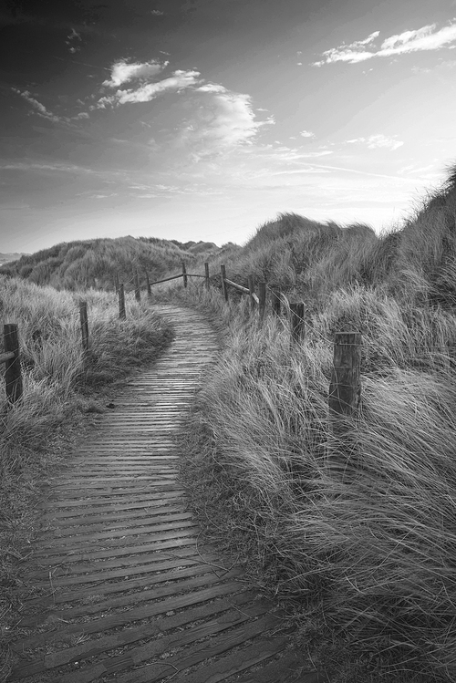 Black and white sunrise landscape image of sand dunes system over beach with wooden boardwalk