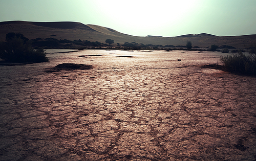 Drought land