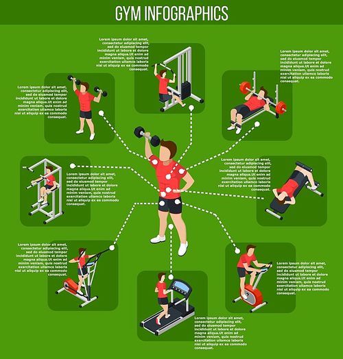 Colored gym infographics and types of exercises with influence of different muscle groups vector illustration