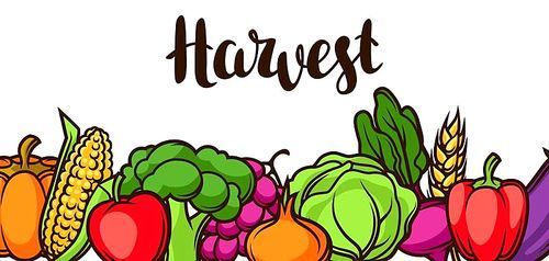 Harvest festival banner. Autumn illustration with seasonal fruits and vegetables.