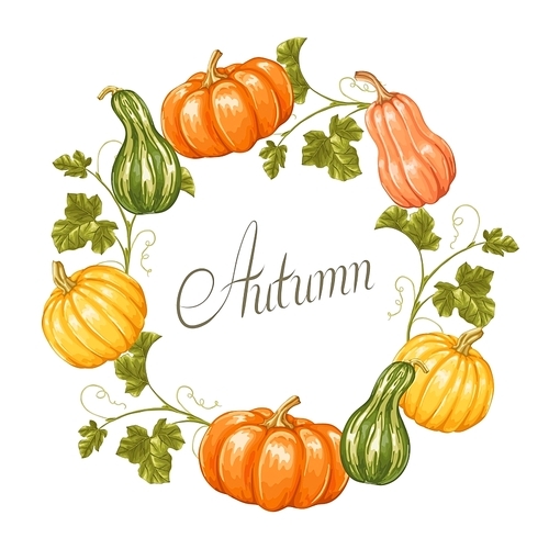Frame with pumpkins. Decorative ornament from vegetables and leaves.