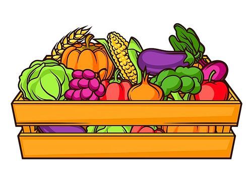 Harvest illustration of box with seasonal fruits and vegetables.
