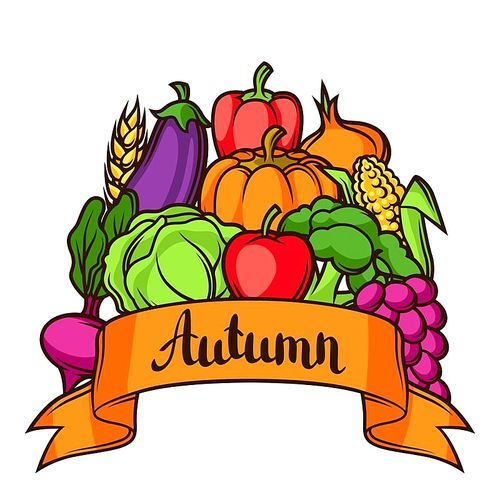Harvest festival background. Autumn illustration with seasonal fruits and vegetables.