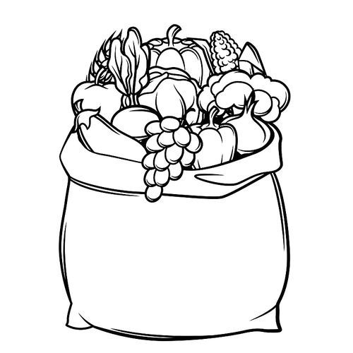 Harvest illustration of bag with seasonal fruits and vegetables.