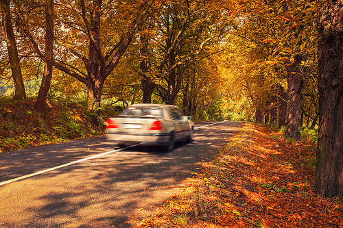Autumn car travel. Road with old trees with red leaves. Car blurred motion.