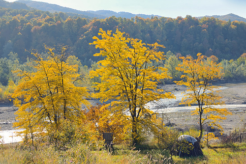 Autumn foliage over romanian river