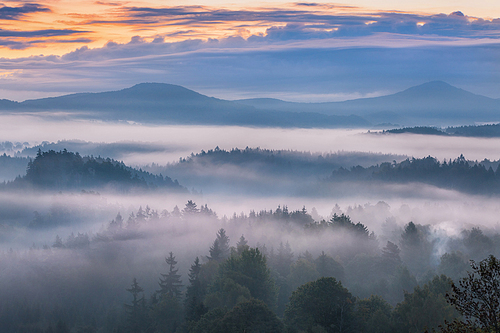 foggy morning over the national park Bohemian Switzerland, Czech Republic