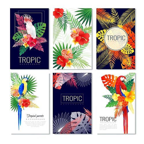 Tropical parrots cards set of six vertical posters with leaves birds and decorative artwork with text vector illustration