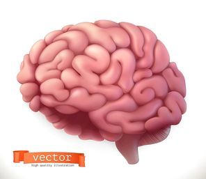Brain. 3d vector icon