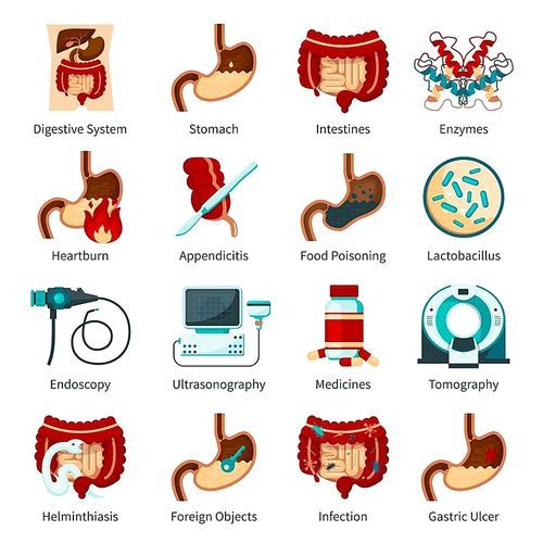 Colored and isolated digestive system flat icon set with stomach enzymes heartburn food poisoning and other descriptions vector illustration