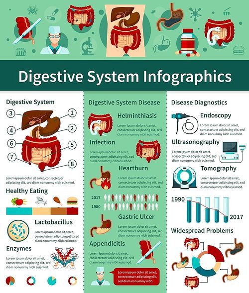 Colored digestive system flat infographics with different types of disease and diagnostics descriptions vector illustration