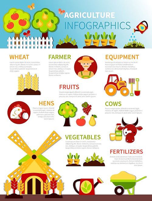 Agriculture infographics with flat trees fruits outdoor bed vegetables farming equipment watering pot barrow with text vector illustration
