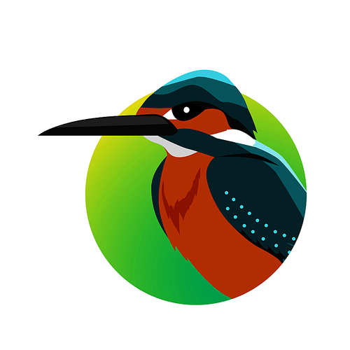 kingfisher vector. predatory birds wildlife concept in flat style design. tropical fauna illustration for prints, posters,  beautiful kingfisher bird seating isolated on white.