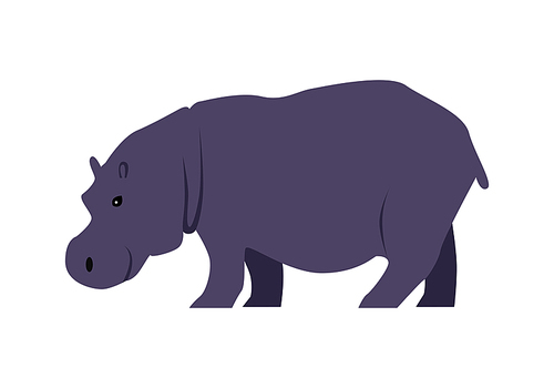 Hippo flat style vector. Wild herbivorous animal. African fauna species. Violet hippopotamus cartoon on white background. For nature concepts, children s books illustrating, printing materials