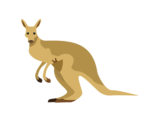 Kangaroo with baby flat style vector. Wild herbivorous marsupial animal. Australian fauna species. For nature concepts, children s books illustrating, printing materials. Isolated on white 