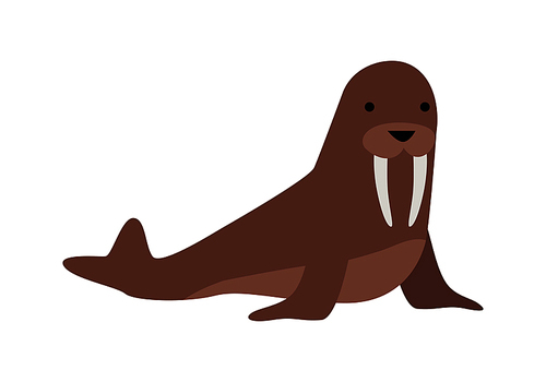 Walrus flat style vector. Wild herbivorous animal. North fauna species. For nature concepts, children s books illustrating, printing materials. Isolated on white 