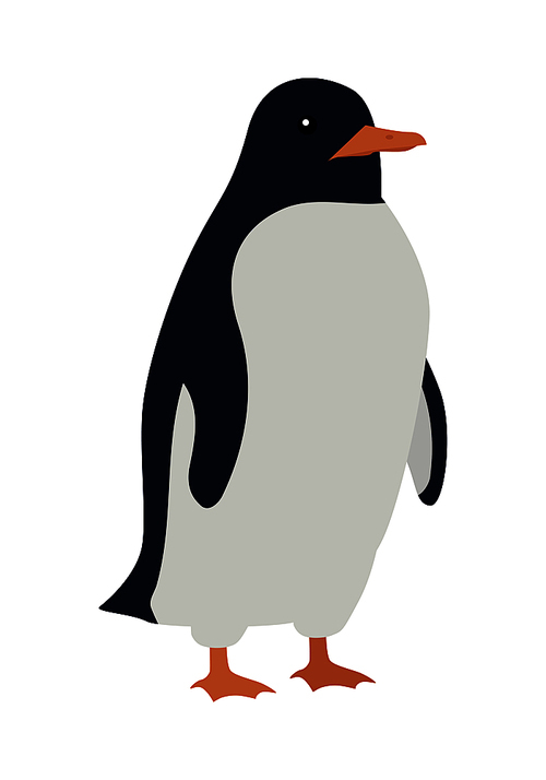 Penguins isolated on white. Aquatic, flightless bird living in Southern Hemisphere, in Antarctica. Has countershaded dark and white plumage, wings evolved into flippers. Sticker for children. Vector