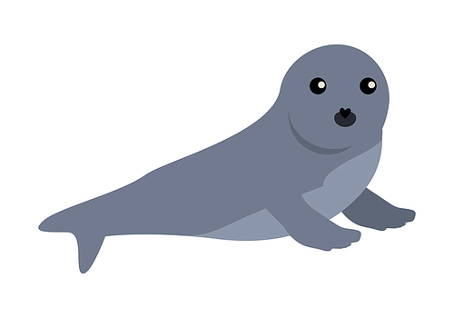 Earless seal flat style vector. Wild predatory animal. Northern fauna species. Cute baby of sea calf cartoon on white background. For nature concepts, children s books illustrating, printing materials