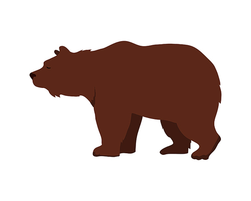 Brown bear flat style vector. Wild and dangerous omnivorous animal. Northern fauna species. For nature concepts, children s books illustrating, printing materials. Isolated on white 
