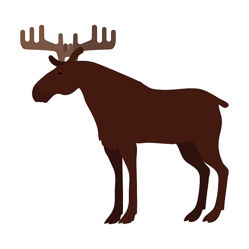 Moose flat style vector. Wild herbivorous animal. Northern fauna species. Elk with horns. For nature concepts, children s books illustrating, printing materials. Isolated on white 