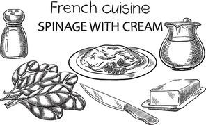 Spinage with Cream. Creative conceptual vector. Sketch hand drawn french food recipe illustration, engraving, ink, line art, vector.