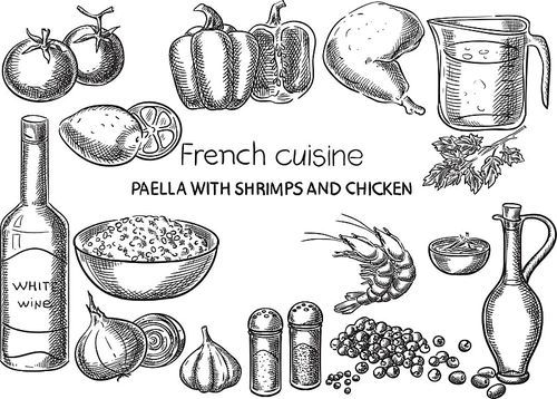 Paella with Shrimps and Chicken. Creative conceptual vector. Sketch hand drawn french food recipe illustration, engraving, ink, line art, vector.