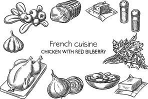 Chicken with Red Bilberry. Creative conceptual vector. Sketch hand drawn french food recipe illustration, engraving, ink, line art, vector.