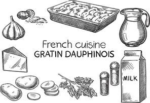 Gratin Dauphinois. Creative conceptual vector. Sketch hand drawn french food recipe illustration, engraving, ink, line art, vector.