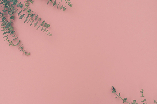 Green leaves on pink table from above with copy space, flat lay frame, retro toned