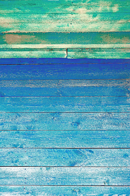 Azure paint on old barndoor. The old blue wooden texture natural patterns of wood vertical orientation