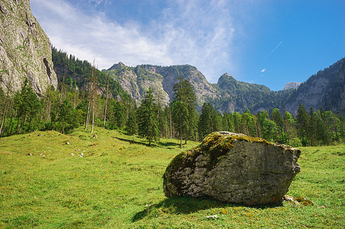 Scenic alpine landscape with mountains, forest and large stone in front