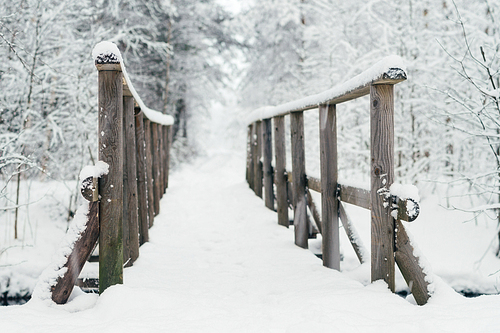 Wooden bridge covered by snow in wintery forest