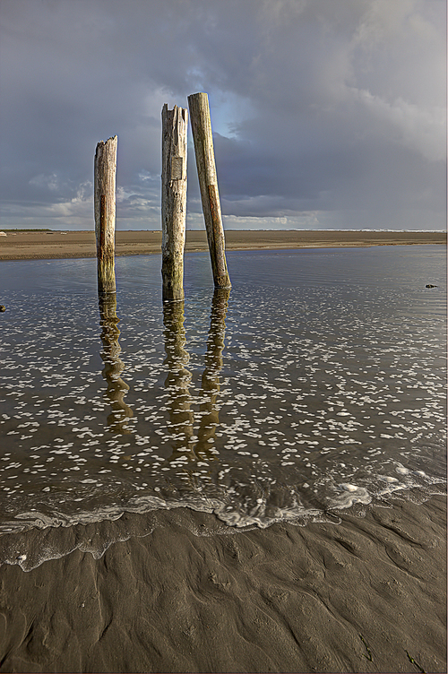 The posts in the water near the Pacific Ocean in  Pacific Beach, Washington.