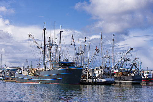 Large fishing boats at the marina in Westport, Washington.