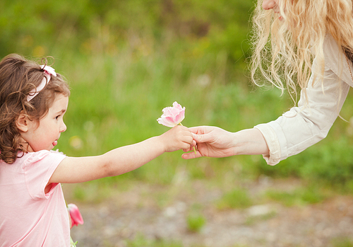 Daughter gives a flower for mom, Mothers day